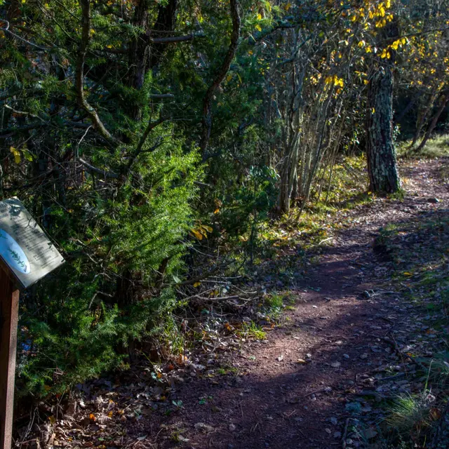 Promenade : Le Lac du Rioutard - Saint-Paul-en-Forêt_Saint-Paul-en-Forêt