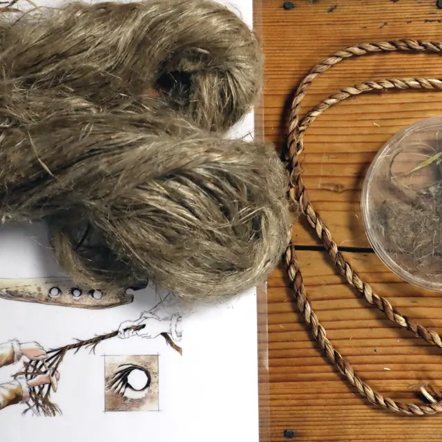 Au labo des Ilettes :  Avoir la fibre_Sallanches