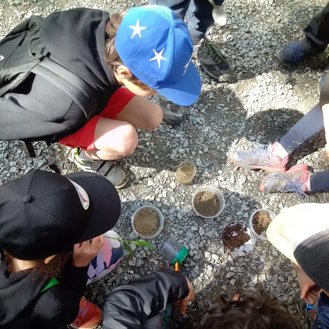 Sorties insectes et petites bêtes