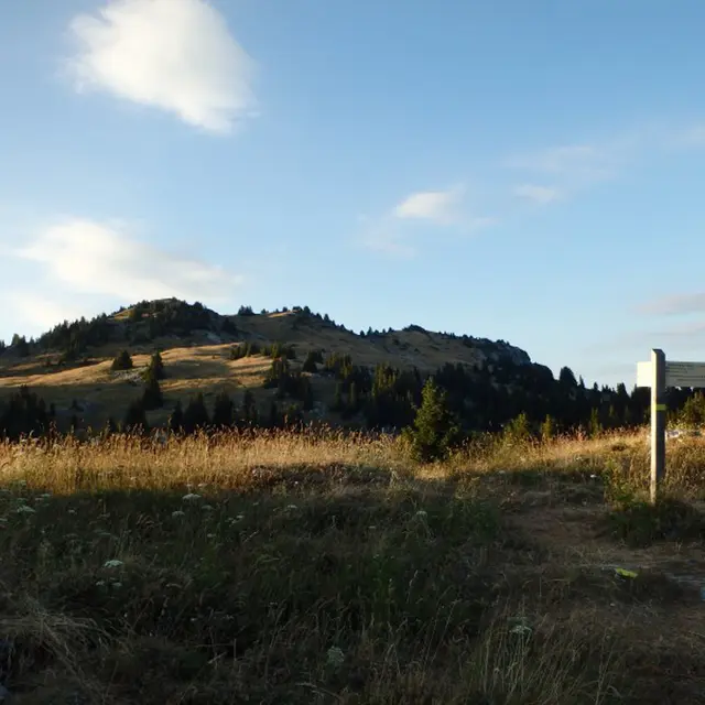 Circuit trail Boucle de Nifflon