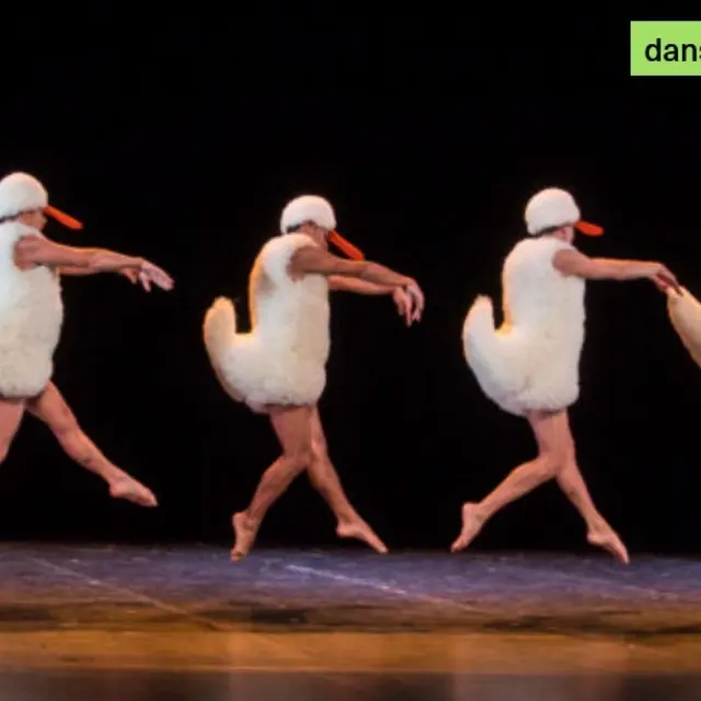 Danse - Tutu - Théâtre L'Escale_La Garde