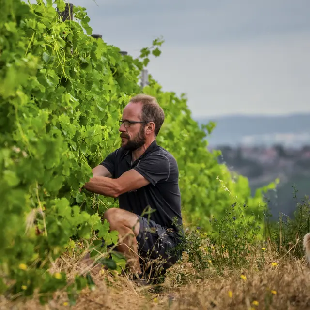 Domaine des Bardes_Eclassan