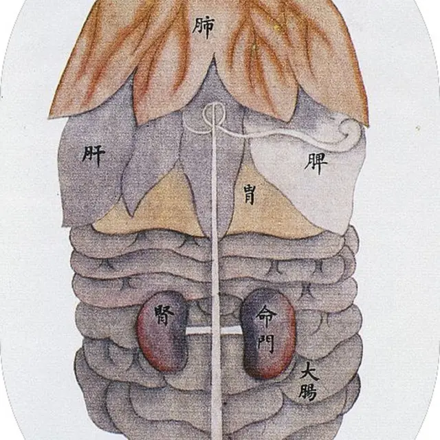 Juliette Plagnet Énergétique traditionnelle chinoise_La Brigue