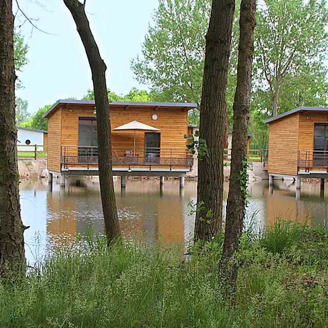 Chalets sur pilotis - Domaine de Veauchette en Forez_Veauchette