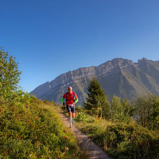 Parcours trail Le Défi duTreu