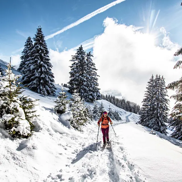 Itinéraire Pas de Morgins