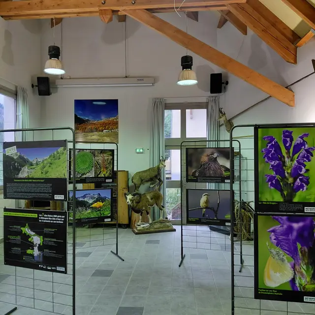Exposition Natura 2000 en Haute Tinée_Saint-Dalmas-le-Selvage