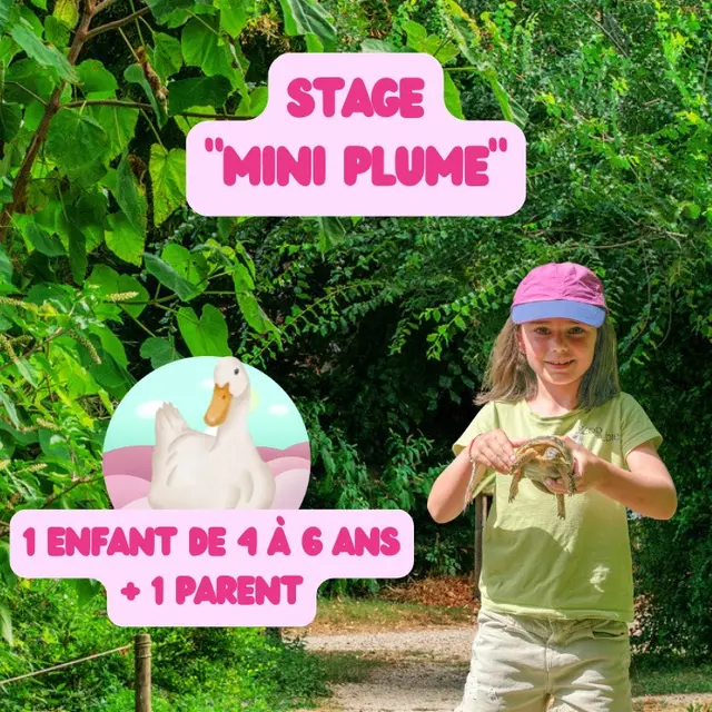 Stage animalier enfant Minni plume_Upie