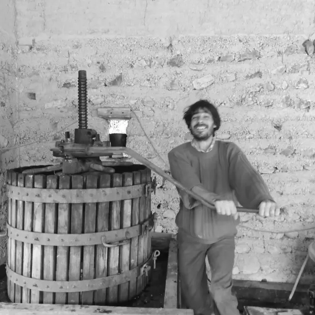 Le vigneron au pressoir