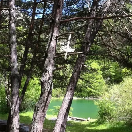 VTT n°14 - Le lac des Eaux Chaudes_Prads-Haute-Bléone