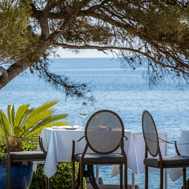 Le Bougainvillier_Saint-Raphaël