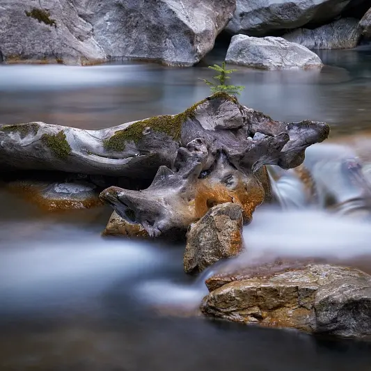 Une histoire d'eau..._Saint-Étienne-de-Tinée