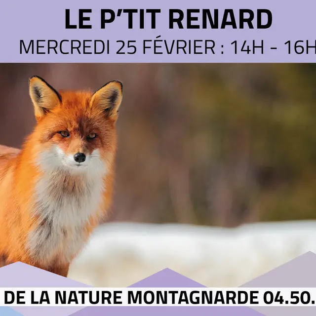 Les P'tits Experts de la Nature® - Le P'tit renard_Sallanches