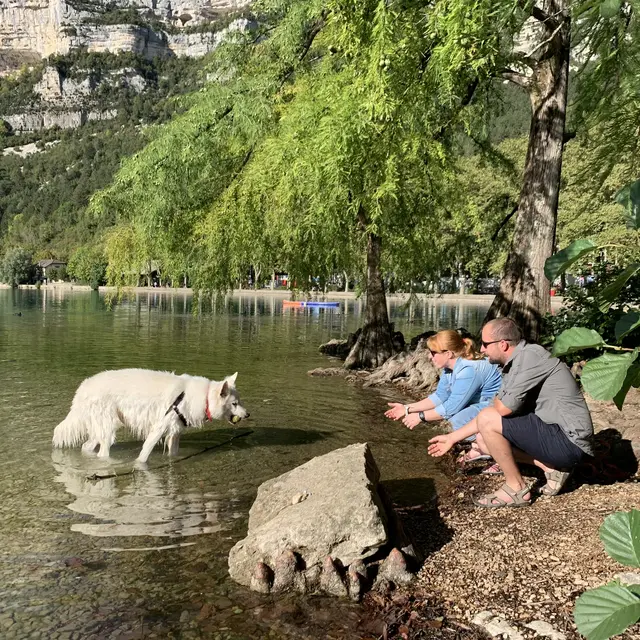 Journée dog friendly