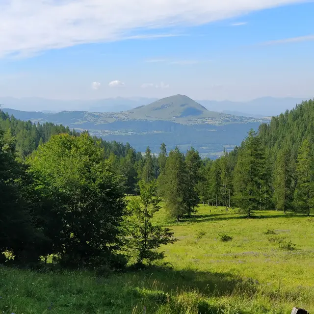 Bois de la Lozière, Chaillol
