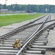 Conférence - Enfants et adolescents victimes de la Shoah : Les derniers racontent_Montauban