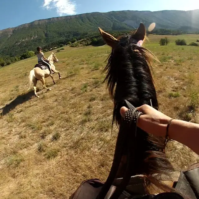 Randonnées équestres Ubraye