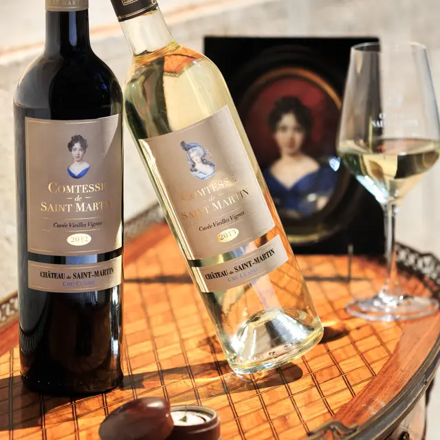 Château de Saint-Martin