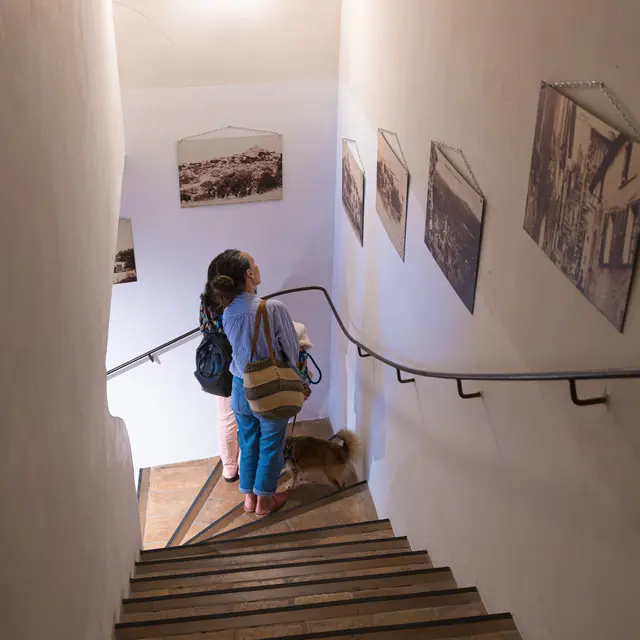 Exposition 