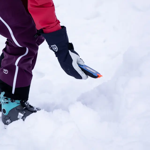 Formation DVA et actions sécurité en montagne