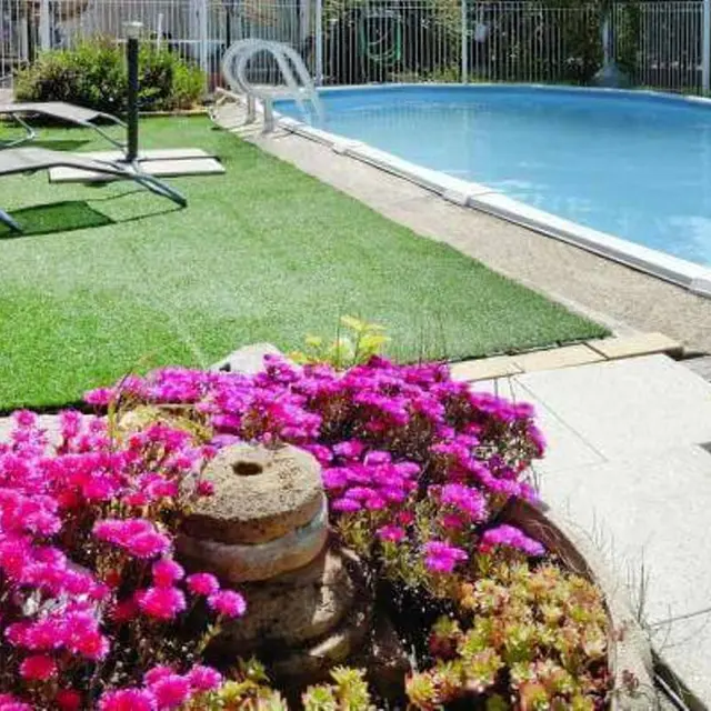 Les Cigales - la piscine