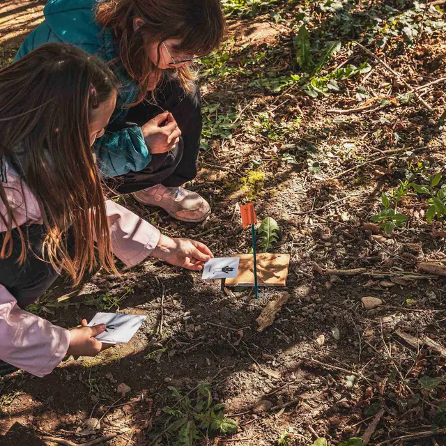 Gravière aux Oiseaux - Petits Trappeurs_Mably