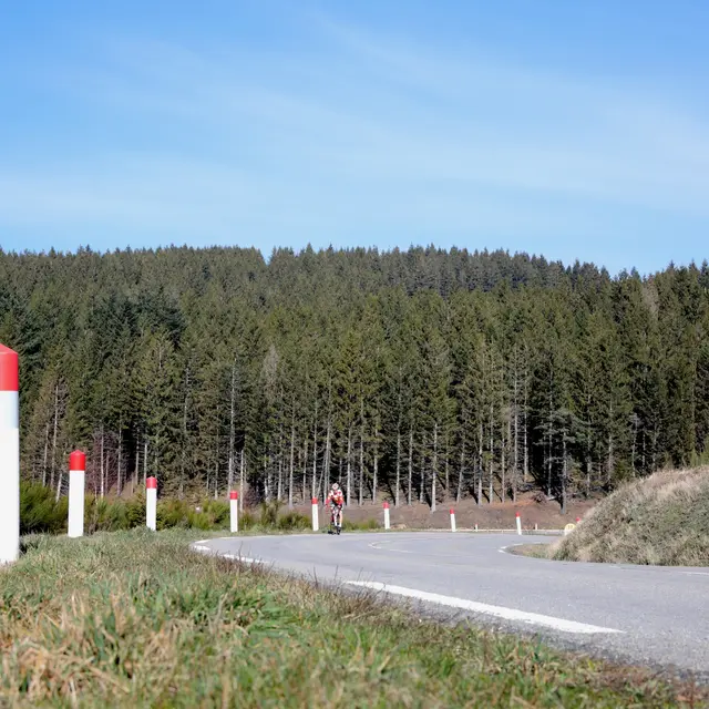 En vélo dans La Loire