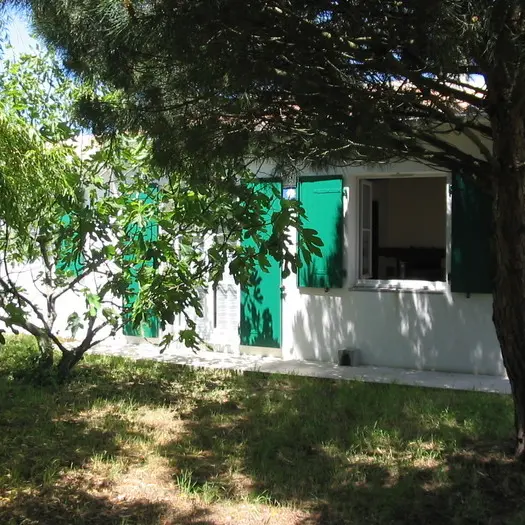 Jardin