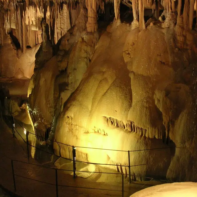 Grotte de La Cocalière : visite virtuelle