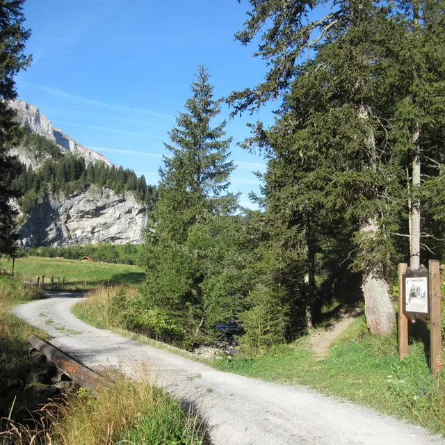 Sentier didactique (variante)