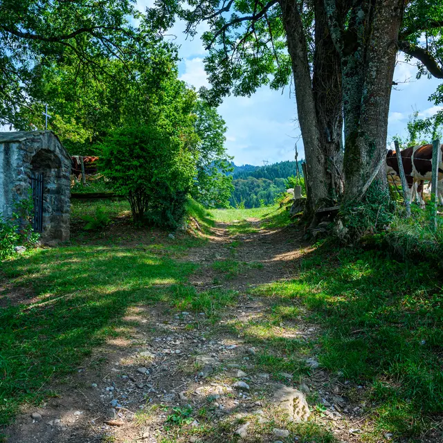 Châtillon sur Cluses
