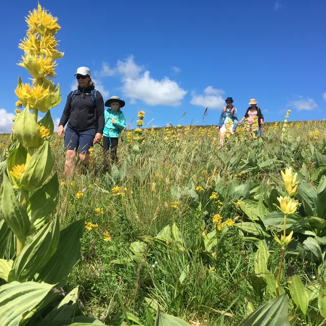 Pyrénées Excursions