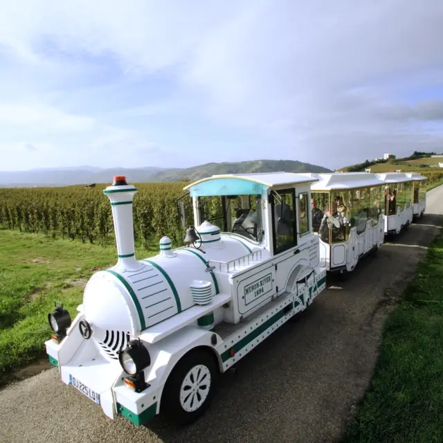 Petit Train des Vignes