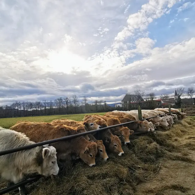 GAEC du Soleil Levant_Sainte-Agathe-la-Bouteresse