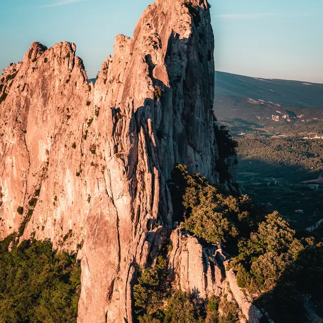 Dentelles
