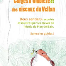 La vie secrète des Gorges d'Omblèze et des oiseaux du Vellan