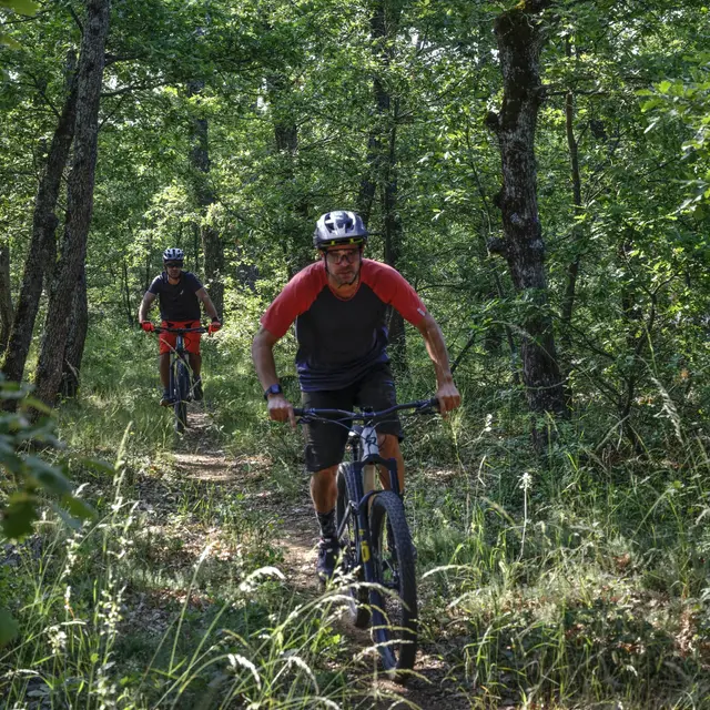 Site VTT FFC-Pays d'Oraison-Coeur de Durance-Circuit 5-Rouge-Oraison_Oraison