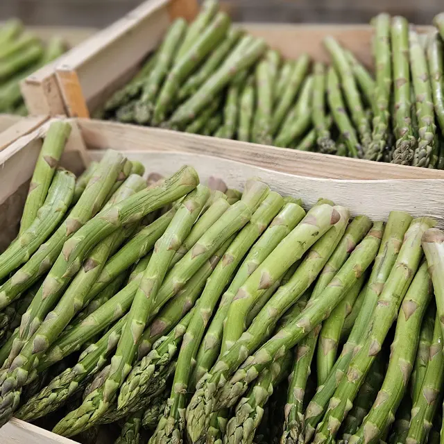 Chez Joëlle_Monteils