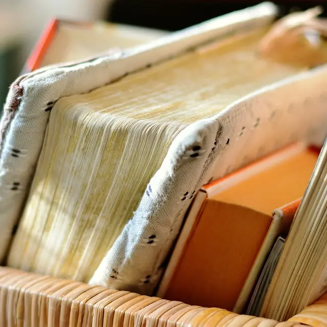 Vide-grenier culturel