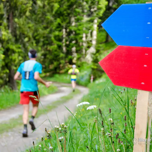 Parcours trail Tour du Cernix