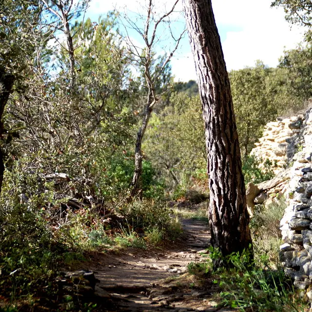 Randonnée et découverte