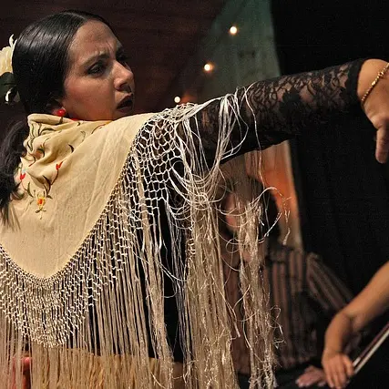 Flamenco_Laragne-Montéglin