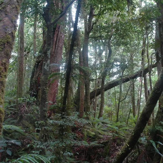 Sentier de la Haute Pourina