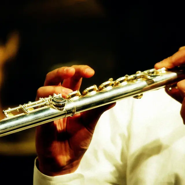 Le merle noir - concert_Boën-sur-Lignon