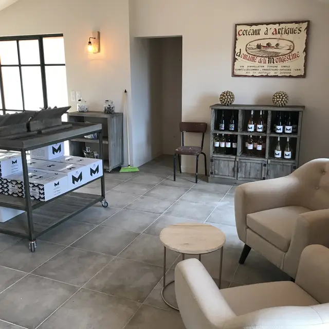 Domaine de la Mongestine - Artigues