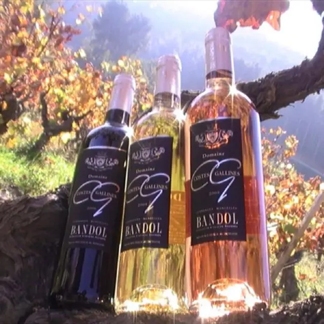 Domaine Costes Gallines