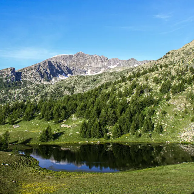 Lac des grenouilles