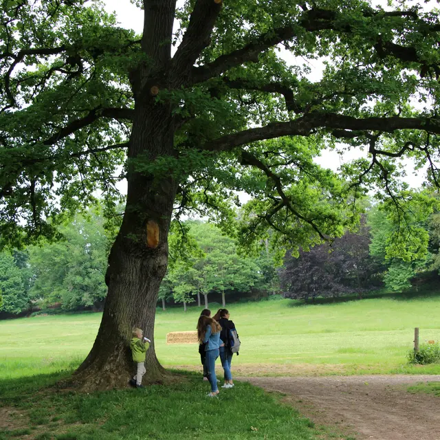 Le parc à l'envers ! Balade sensorielle dans le parc de Cibeins_Misérieux