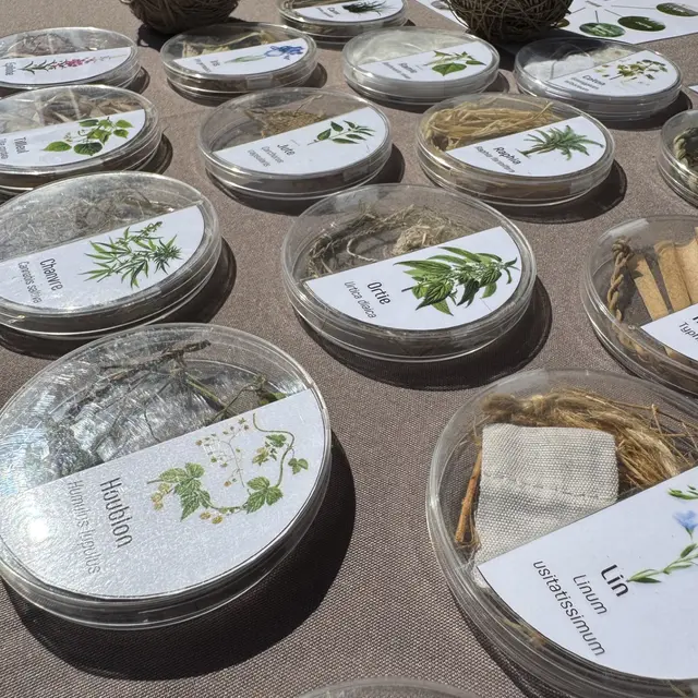 Atelier préhistorique Au fil des plantes_Cluses