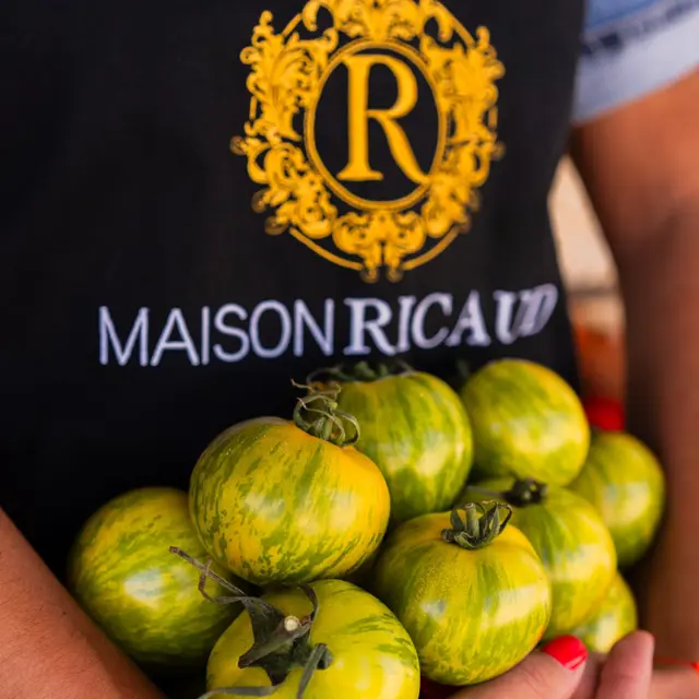 Maison Ricaud_Mollégès